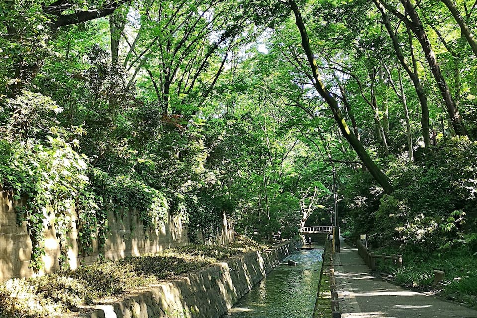 A narrow waterway flanked by stone walls and dense green foliage.