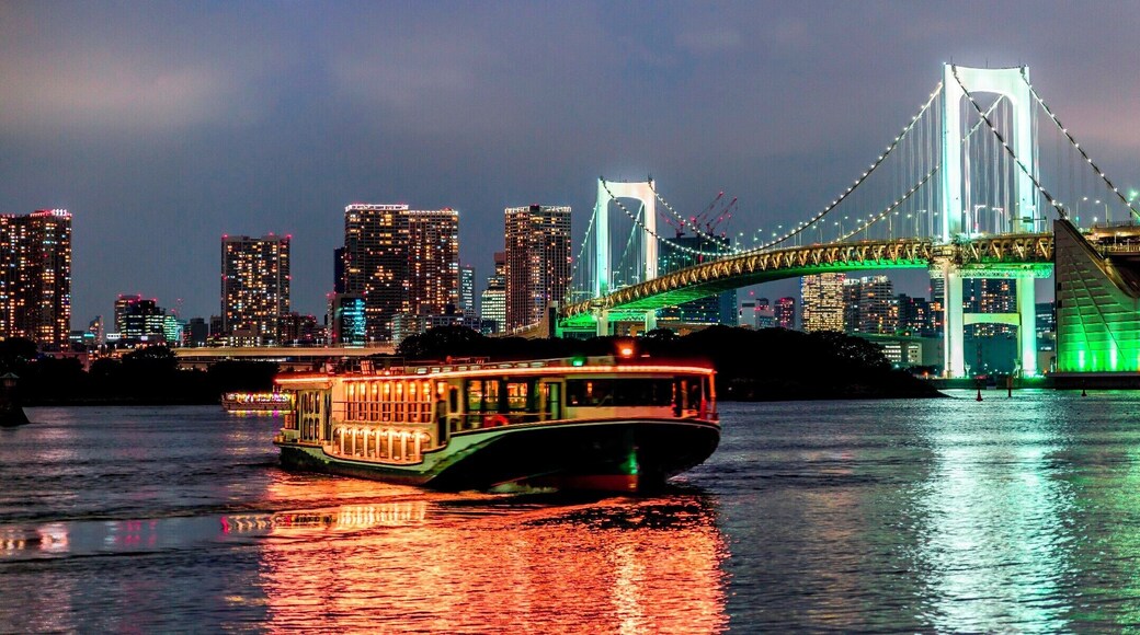 Beautiful bridge connecting mainland Tokyo with the futuristic man made island of Obaida. Bridge lights came on around 6pm and it was well worth the wait to see them.