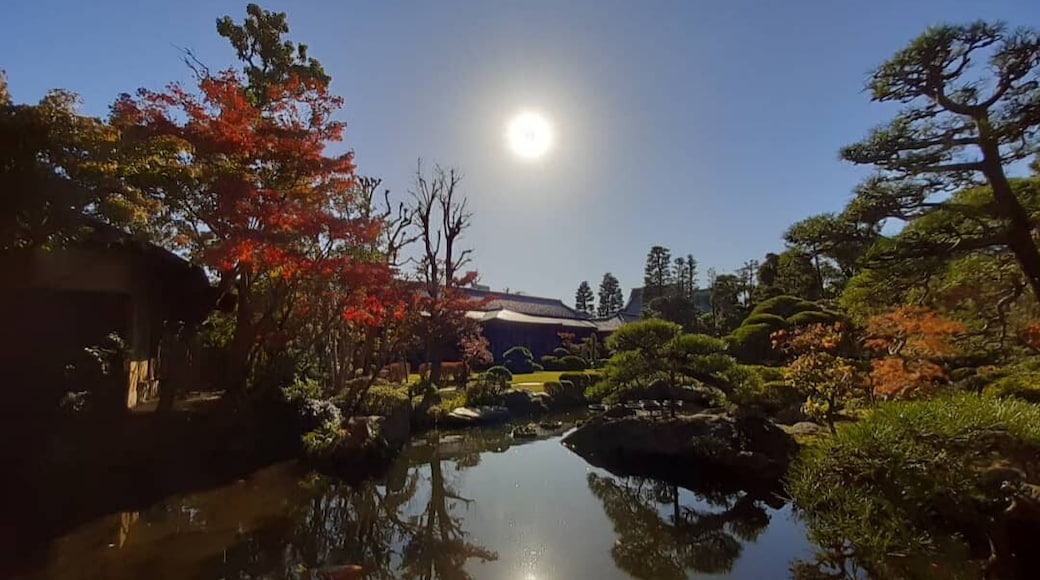 The epitome of Japanese garden.
#trovember
#lifeatexpedia #discoveryoftheweek #fall #autumn