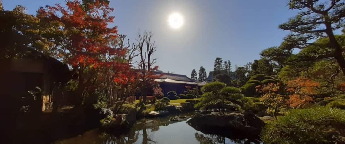 The epitome of Japanese garden.
#trovember
#lifeatexpedia #discoveryoftheweek #fall #autumn