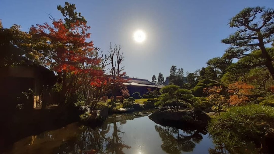 The epitome of Japanese garden.
#trovember
#lifeatexpedia #discoveryoftheweek #fall #autumn