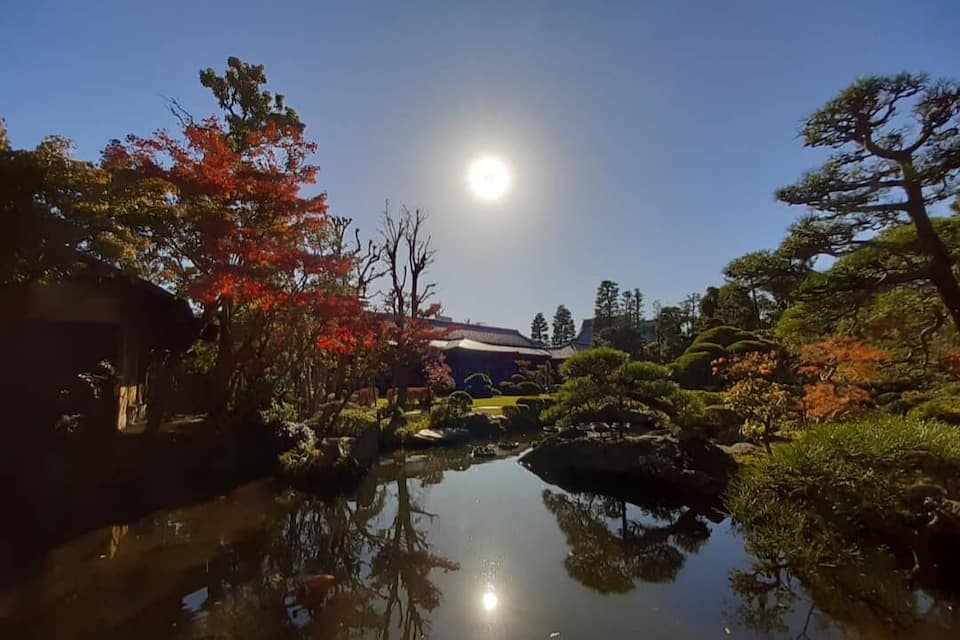 A serene garden with a pond reflecting trees and a building.