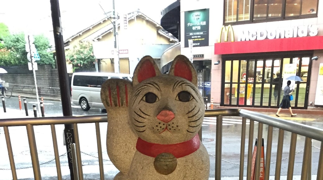 The lucky cat