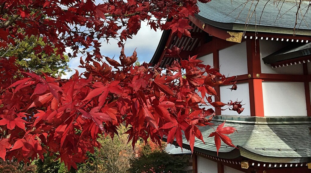 Near the top of Mitake there is a shrine and a bunch of other beautiful buildings. It’s only like a 10 minute trek up and very worth it. #japan #architecture #fall #red #nature
