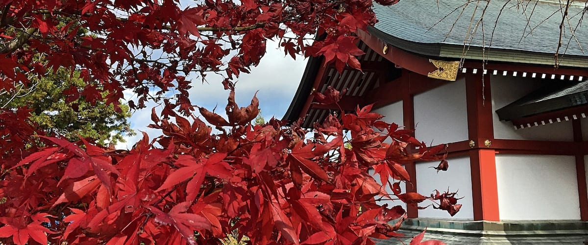 Near the top of Mitake there is a shrine and a bunch of other beautiful buildings. It’s only like a 10 minute trek up and very worth it. #japan #architecture #fall #red #nature
