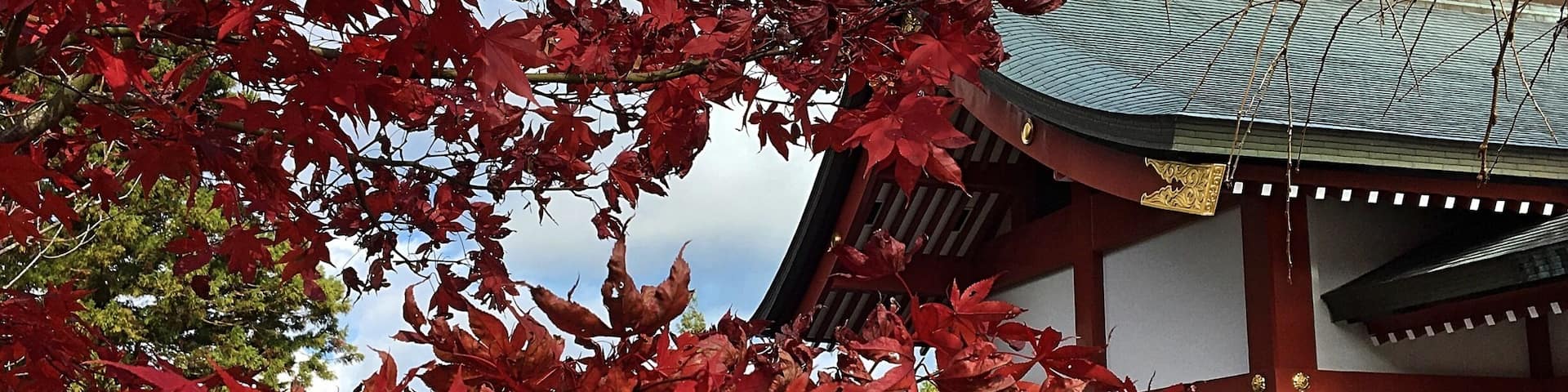 Near the top of Mitake there is a shrine and a bunch of other beautiful buildings. It’s only like a 10 minute trek up and very worth it. #japan #architecture #fall #red #nature