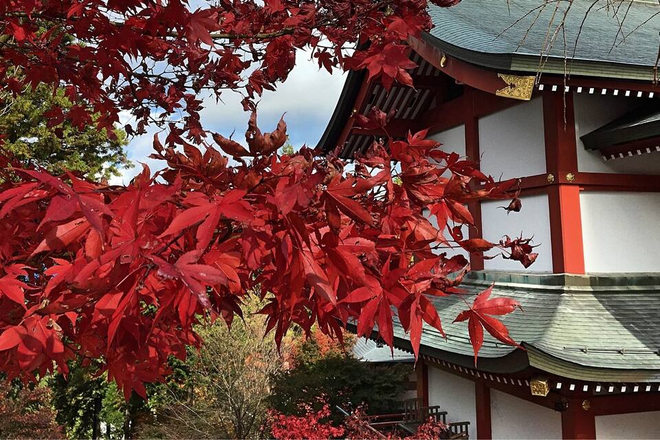 Een traditioneel Japans gebouw met een rode en witte gevel, omgeven door levendige, rood gekleurde esdoornbladeren.
