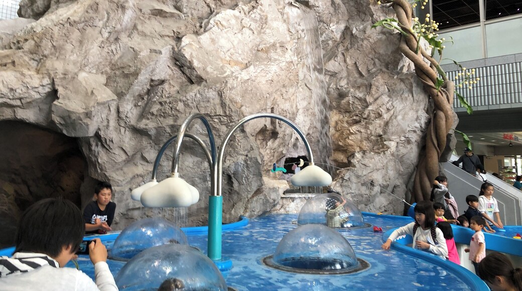 We can learn about water very easily. We can have good experiments to understand natures of water.