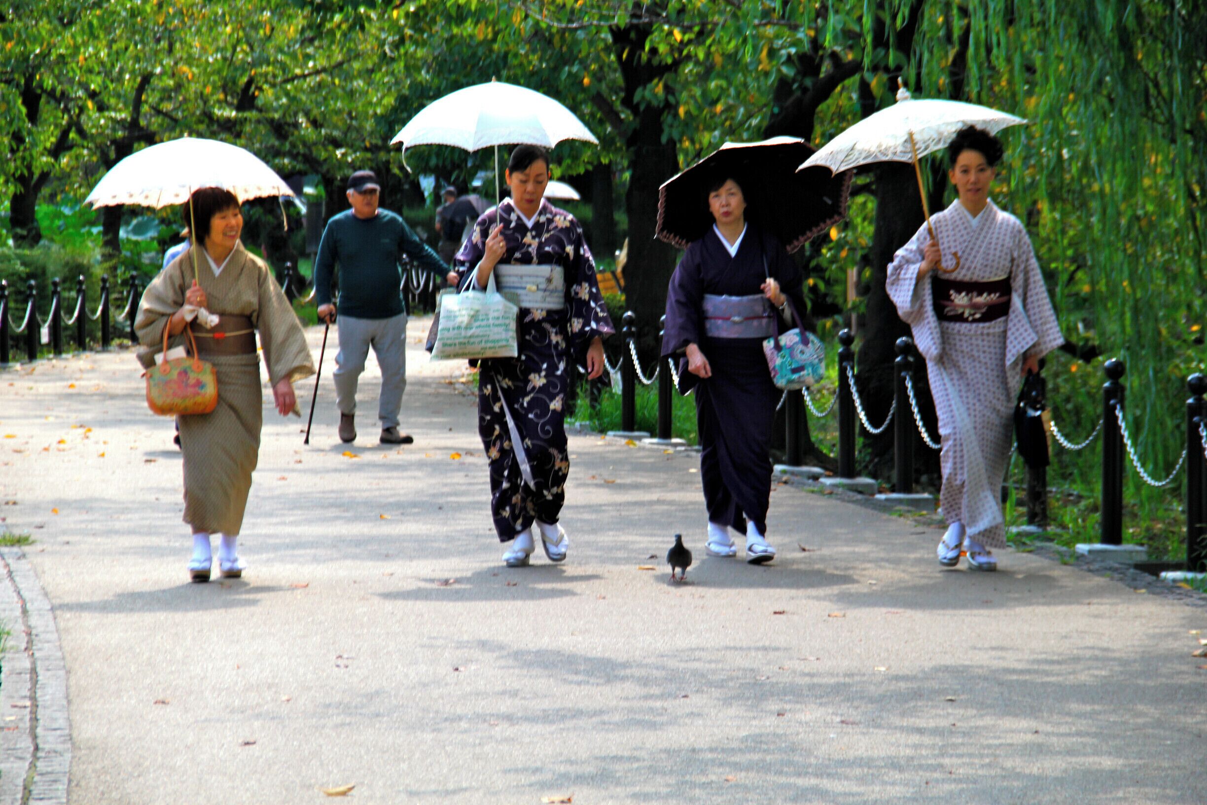 Lovely Geisha strolling in the park on a sunny afternoon in Tokyo. 

#travel #japan #Geisha