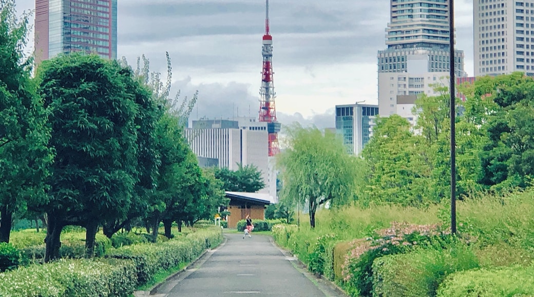 Near the station. Tokyo Tower seen!