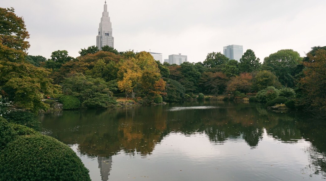 Shinjuku Gyoen National Garden is slowly changing color. It was a cloudy day but the park was still gorgeous.
The Japanese garden will probably reach it's peak in December, if you're interested :)
Closest Station: Shinjuku Gyoen-mae Station on the Marunouchi Line.
Entrance Fee: 200 yen