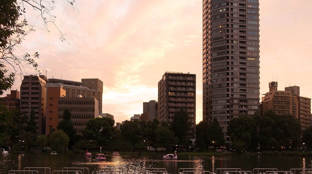 Ueno park in Tokyo. When you want to take a break from all the rush in the city, you can go to Ueno park to relax and enjoy a beautiful view over the green park and a sea. Eventually right before sunset! #uenopark #tokyo #japan #travel #view #relax #beautiful #peaceful #backpacker #traveltheworld