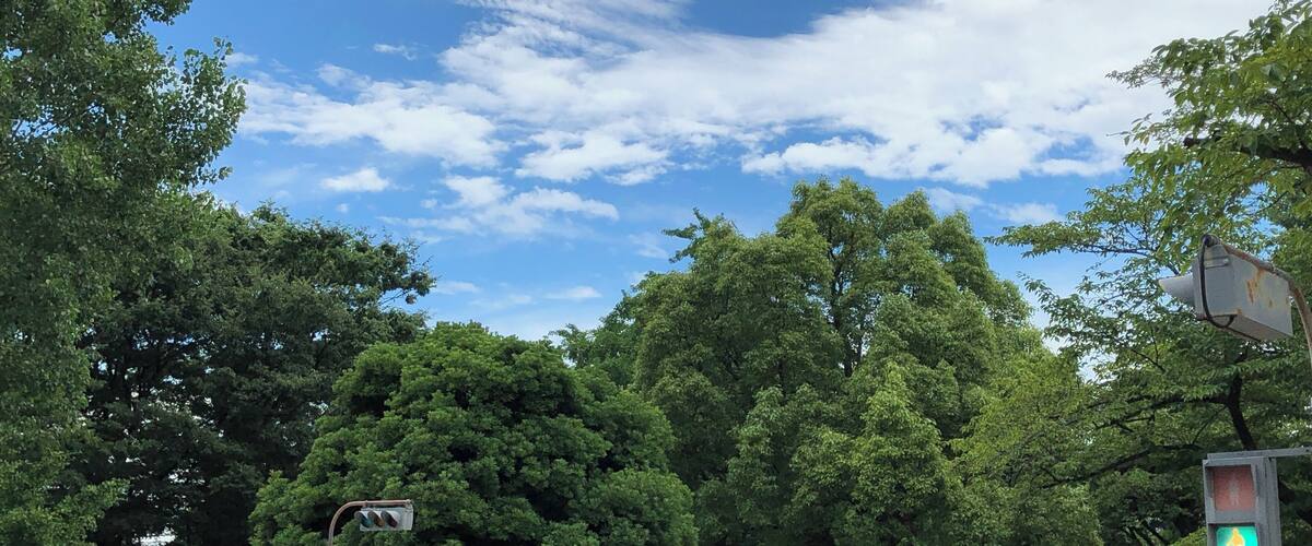 Calm sky from north Tokyo.