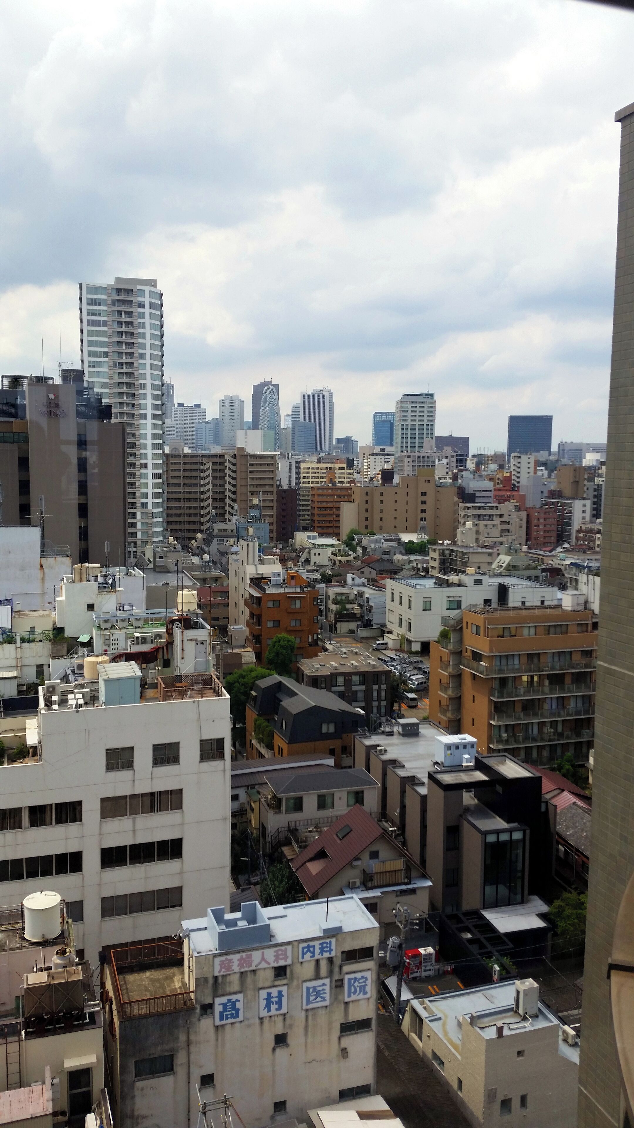 View of Shinjuku from atop the Fire Museum