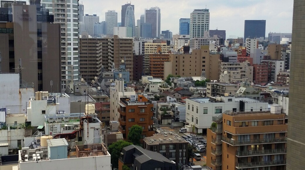 View of Shinjuku from atop the Fire Museum