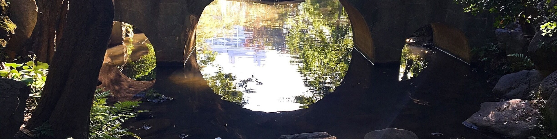 Right in the middle of the city is this oasis from the hustle and bustle of the real world. Lovely and large it was expertly designed to hide nearly all surrounding city buildings. Perfect with a good book. #greatoutdoors #tokyo #nature