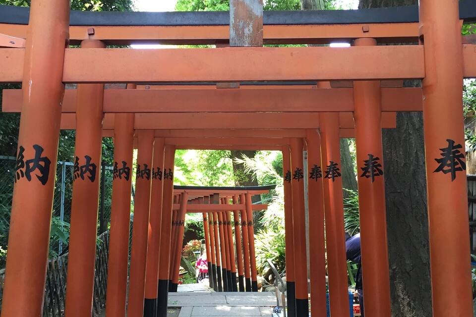 A pathway with orange torii gates and black bases, surrounded by greenery.