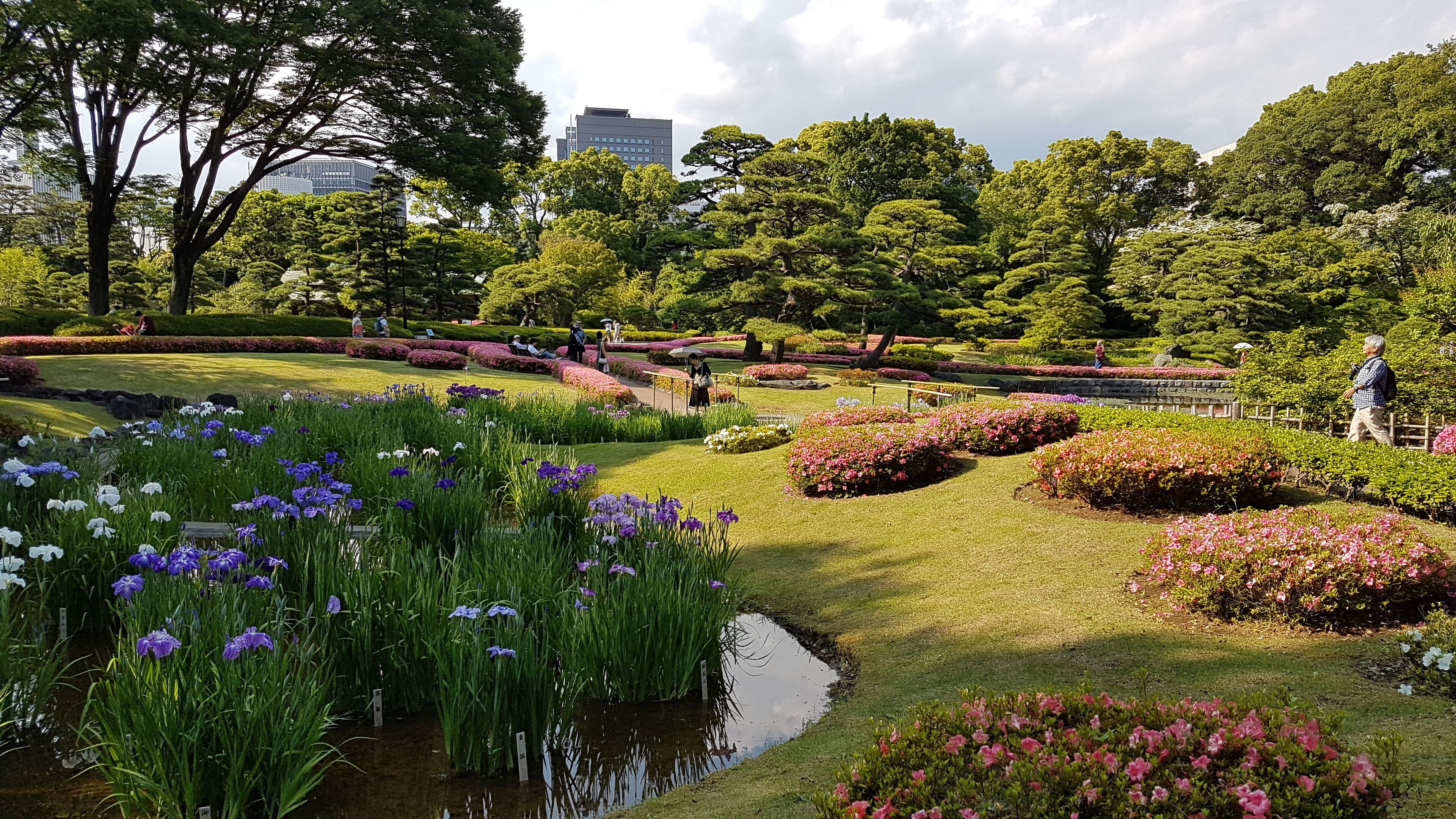 The gardens of the imperial palace are really beautiful and are a great place to breathe and relax a little in Tokyo.
#japan #tokyo #imperial #gardens #flowers #park #nature