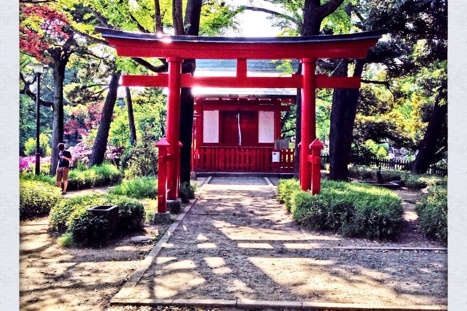 A red torii gate in a garden with trees and a pathway.