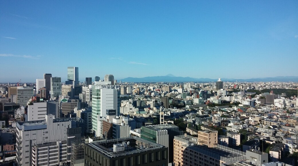 There it is the Fuji mountain and you may see the snow at the peak when the season is getting colder
