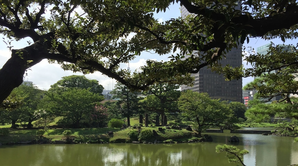 Great peaceful place in Tokyo