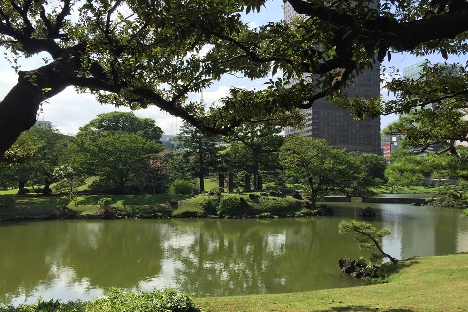 A serene park with a pond, lush greenery, and a distant view of modern buildings.