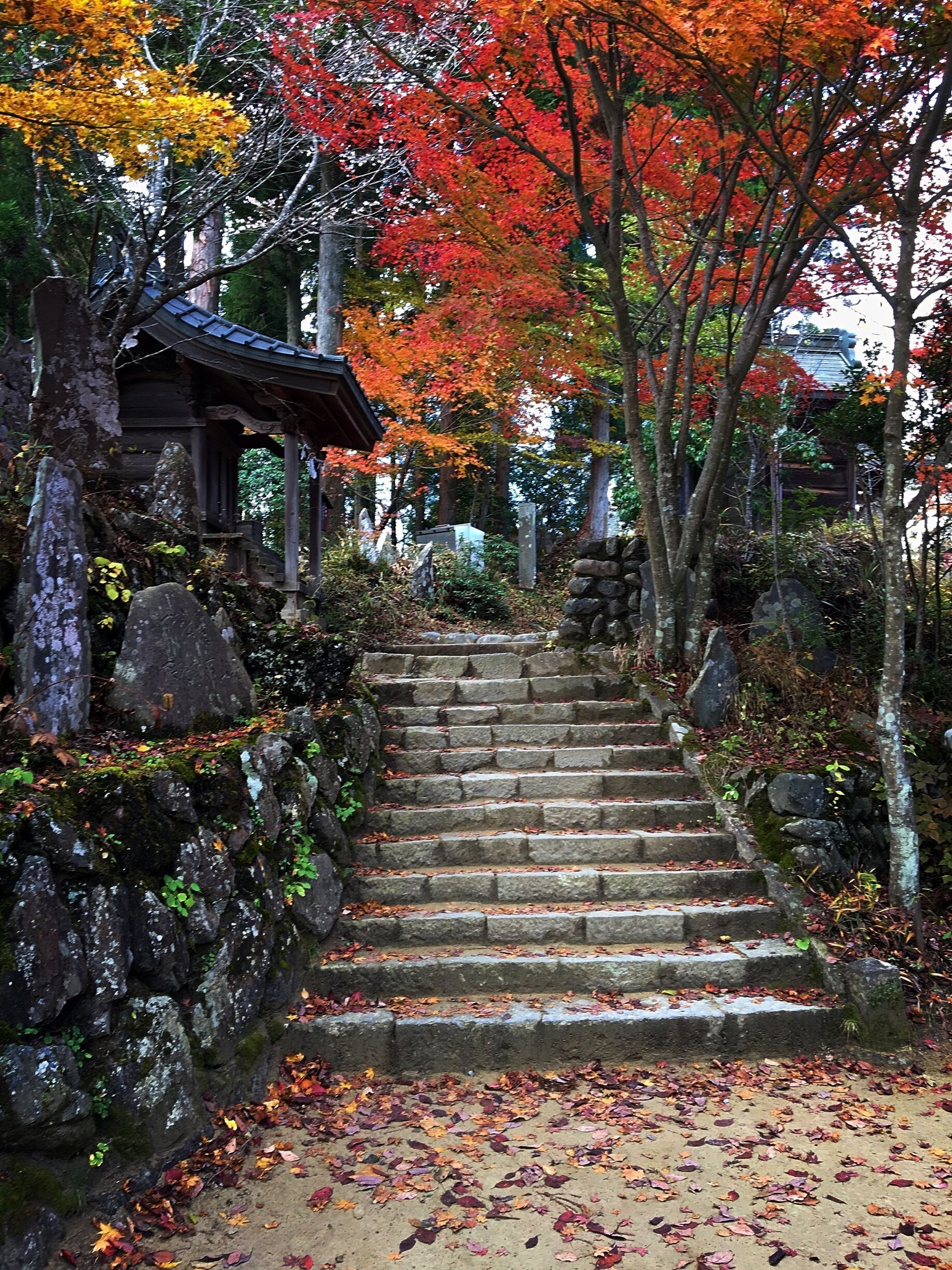 Atop a gorgeous flight of stairs surrounded on both sides by gravestones is a lovely shrine. From there you can see down the mountain and over the various mountains. I would recommend visiting in fall because the colors are splendid. #japan #hikingtheglobe #greatoutdoors #ontheroad #nature #adventure