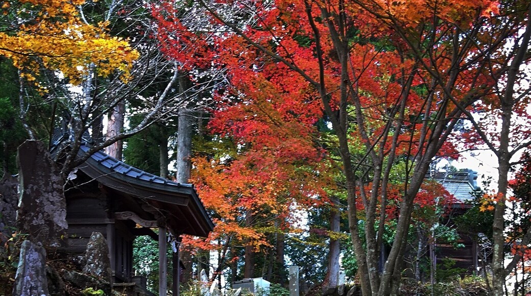 Atop a gorgeous flight of stairs surrounded on both sides by gravestones is a lovely shrine. From there you can see down the mountain and over the various mountains. I would recommend visiting in fall because the colors are splendid. #japan #hikingtheglobe #greatoutdoors #ontheroad #nature #adventure