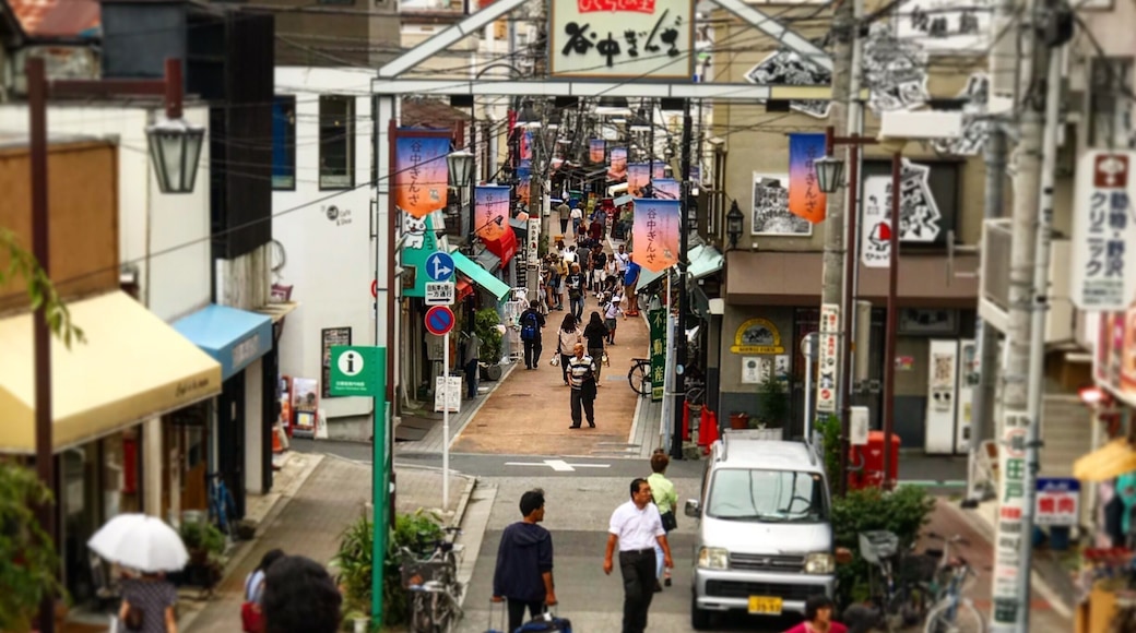 Yanaka Ginza still maintains a bustling mid-century Tokyo shopping street. Off the beaten path and well worth a visit.