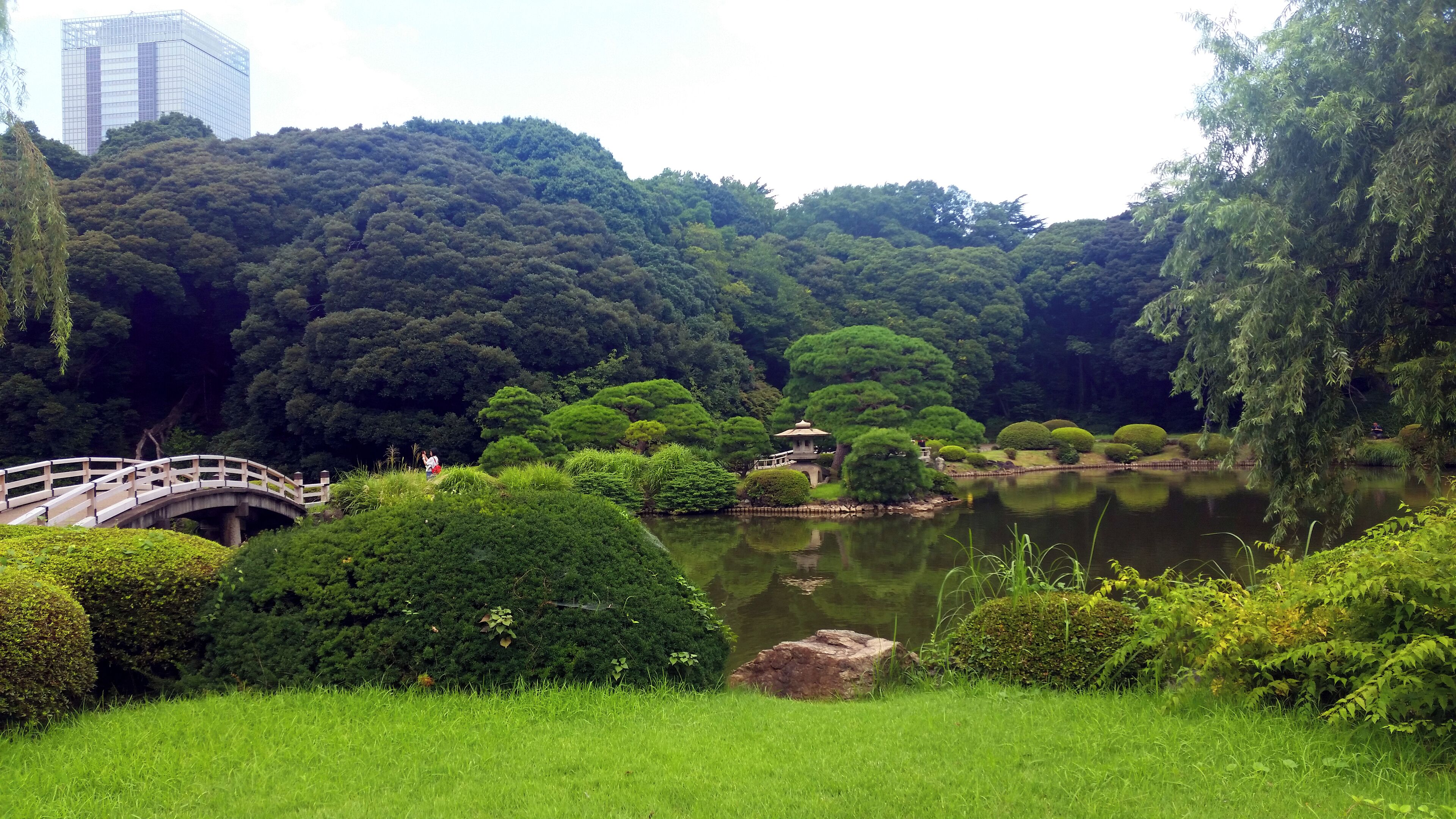 A serene park with a bridge, lush greenery, and a calm pond.