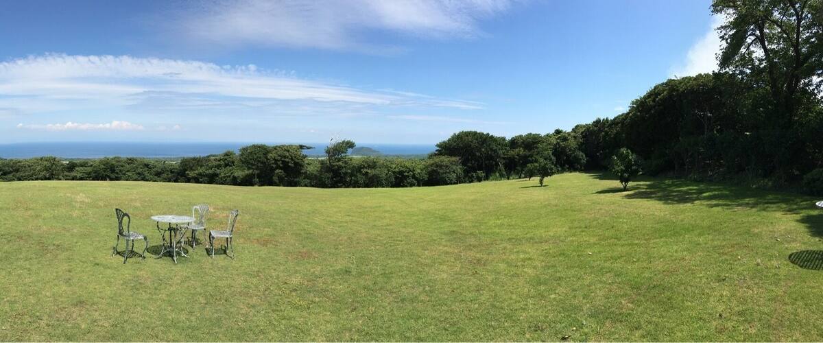 A grassy field with a metal table and chairs, trees, and a distant view of the ocean.