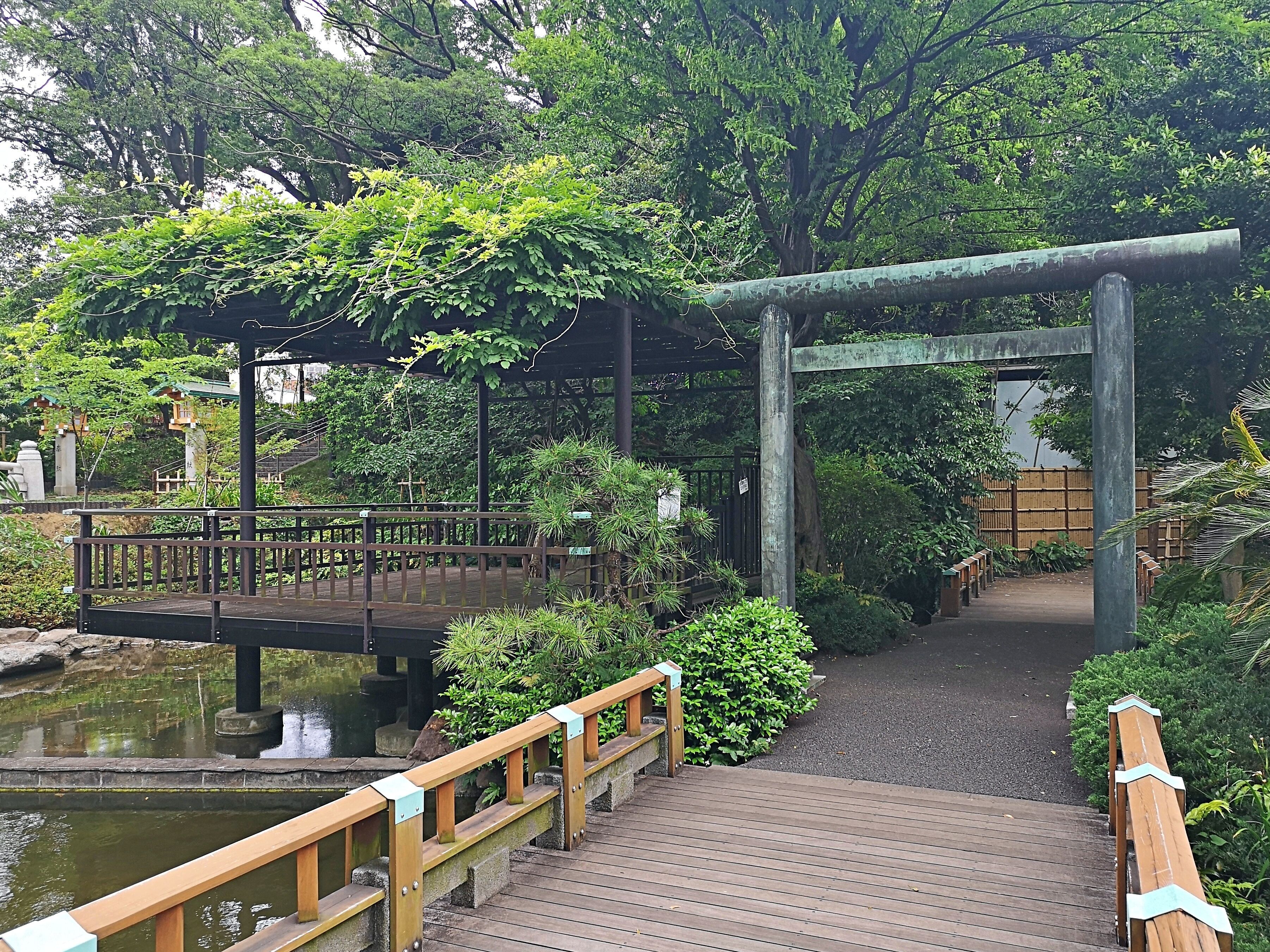 This is one of my favourite places in Harajuku and it's the perfect place to escape to when you get tired of the crowds. 

There is more to Tōgō shrine than meets the eye - head down the stairs on the other side of the shrine and you will find yourself in this tranquil garden. Take a stroll and watch the colourful koi carp swimming in the pond before heading back to the hustle and bustle of Harajuku.  

To get to Tōgō shrine, turn left at Marion Crepes on Takeshita-dōri.

Harajuku and Shibuya itinerary:
https://desserthighway.com/one-day-in-harajuku-and-shibuya/