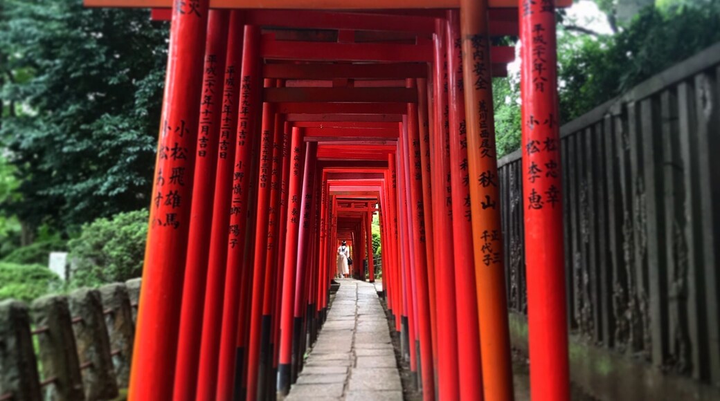 Beautiful, tranquil Nezu Jinja - off the beaten path and well worth the visit.