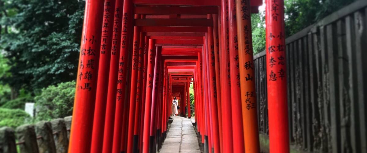 Beautiful, tranquil Nezu Jinja - off the beaten path and well worth the visit.