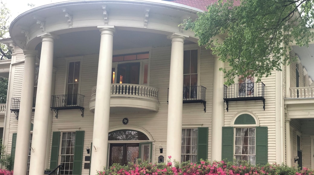 A beautiful old home in a charming park in central Tyler. The architecture and furnishings of the home are all original since it was owned by the Goodman-LeGrand family. In spite of the recent storms, the azaleas on the property were still stunning.