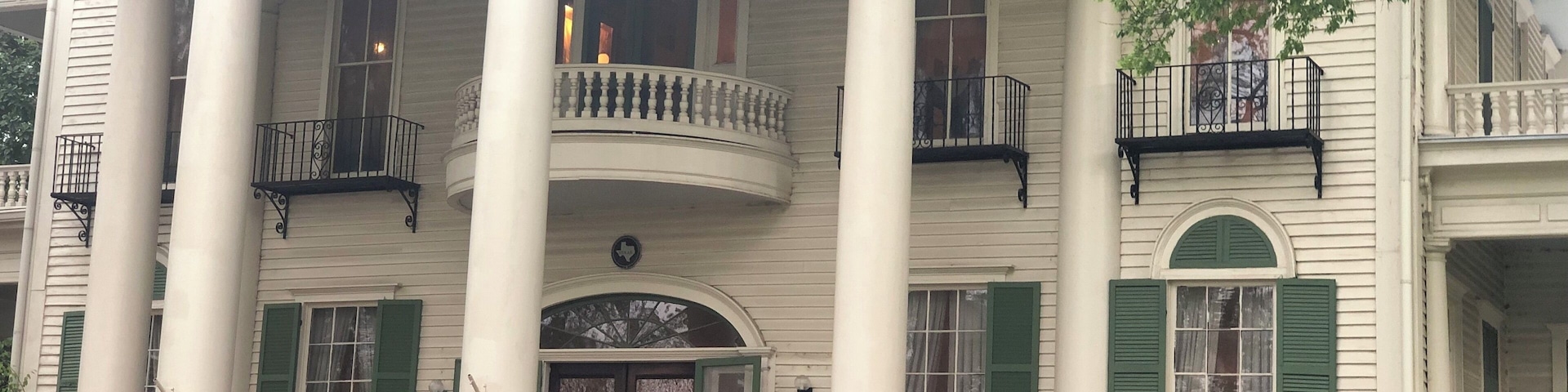 A beautiful old home in a charming park in central Tyler. The architecture and furnishings of the home are all original since it was owned by the Goodman-LeGrand family. In spite of the recent storms, the azaleas on the property were still stunning.