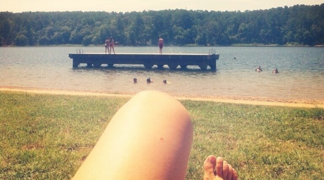 Much cleaner water than other area lakes!! Diving platform and kayaks, canoes, and paddle boats for rent.