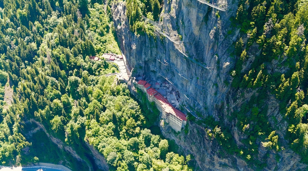 Altindere, Trabzon Province, Turkey. Sumela Monastery. Altindere Valley Park. Coniferous forest on the slopes, Aerial View