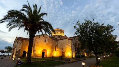 A historic building with a dome, palm trees, and a flower garden.