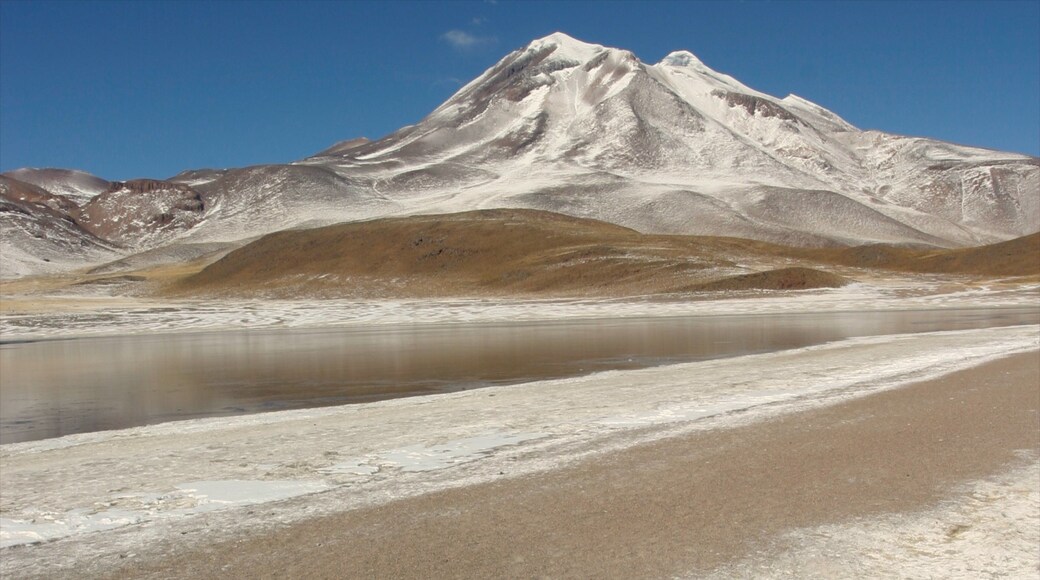 Chile showing mountains and snow
