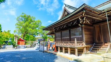 夏の琴崎八幡宮 山口県宇部市 Kotozaki Hachimangu Shrine in summer. Yamaguchi Pref, Ube City.