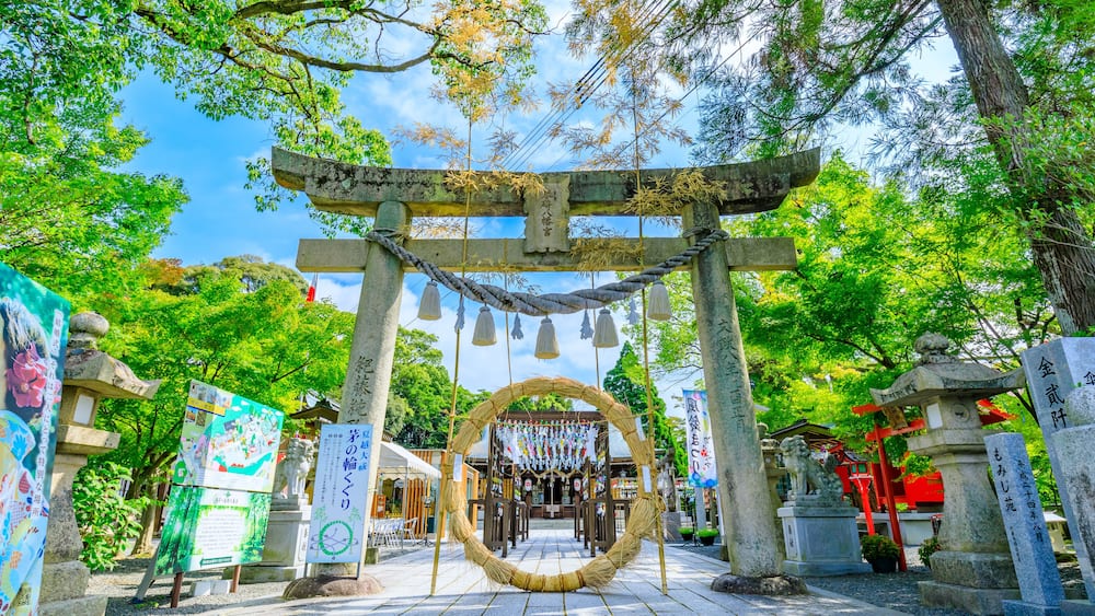 Ein traditionelles japanisches Torii-Tor mit Seilsperrung, umgeben von üppiger Vegetation und Steinlaternen.