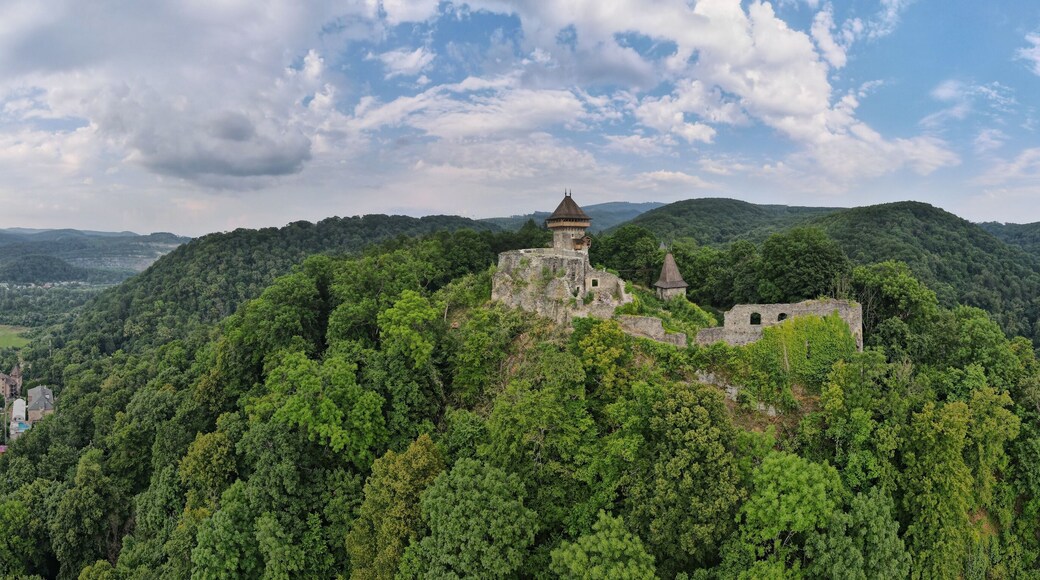 Top view of a medieval castle. Dilapidated Nevitsky Castle.
