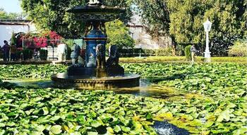 Built over 2 centuries ago, this pond garden used to be where the princesses of Rajasthan and her girlfriends would hang out
#LifeAtExpedia