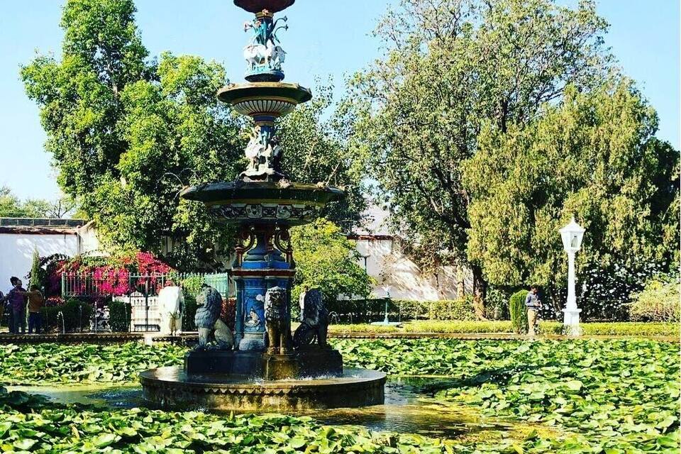 A multi-tiered fountain surrounded by lily pads in a park.