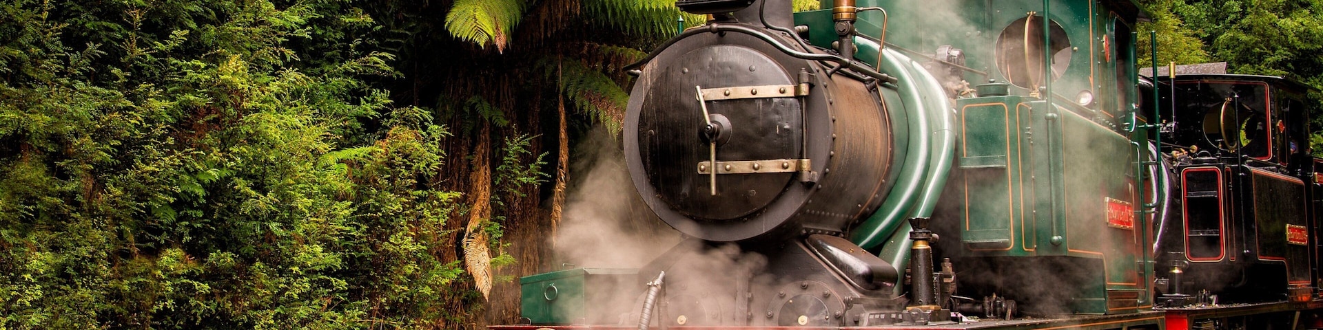 Queenstown which includes railway items and forests