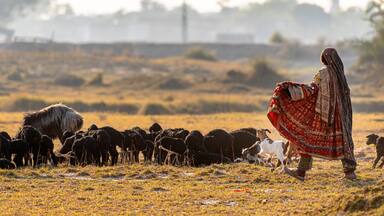 Shepherding is among the oldest occupations and shepherds from Baluchistan are most famous shepherds in the nomadic world