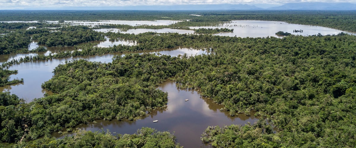 A vast mangrove forest with numerous water bodies and distant mountains under a partly cloudy sky.