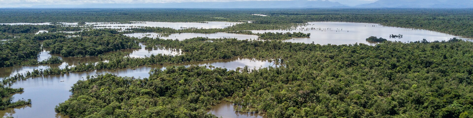 A vast mangrove forest with numerous water bodies and distant mountains under a partly cloudy sky.
