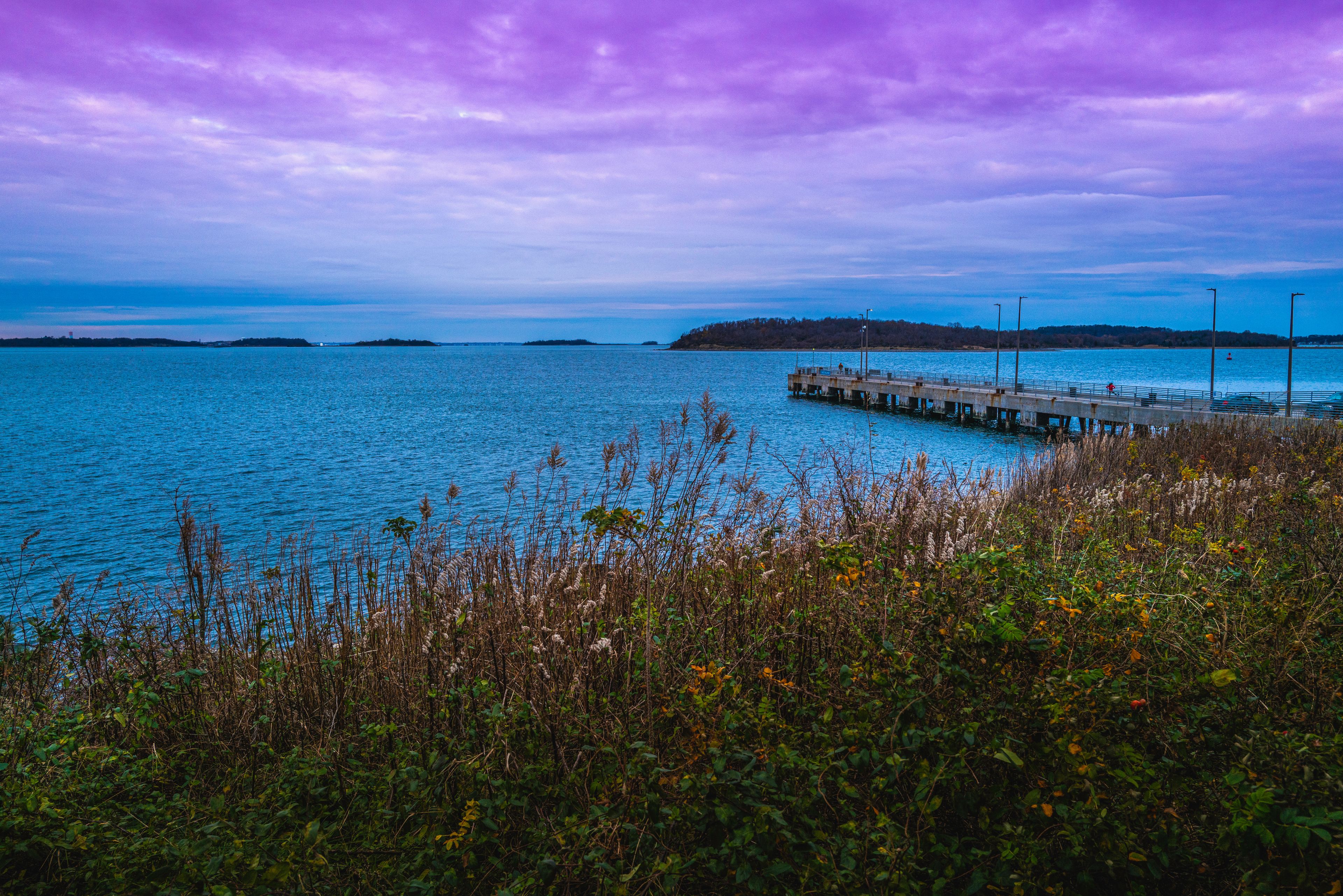 Dramatic purple cloudscape over the river bank with wild plants in Quincy Bay at dusk.